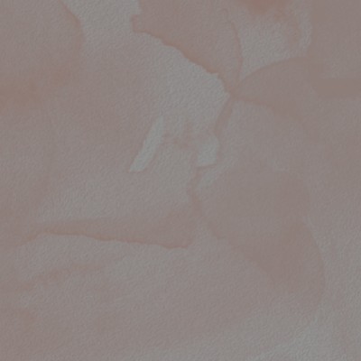오늘의 운세 2  : 오늘 나의 운세는?