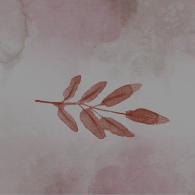 위로 타로 : 기분이 우울하니?
